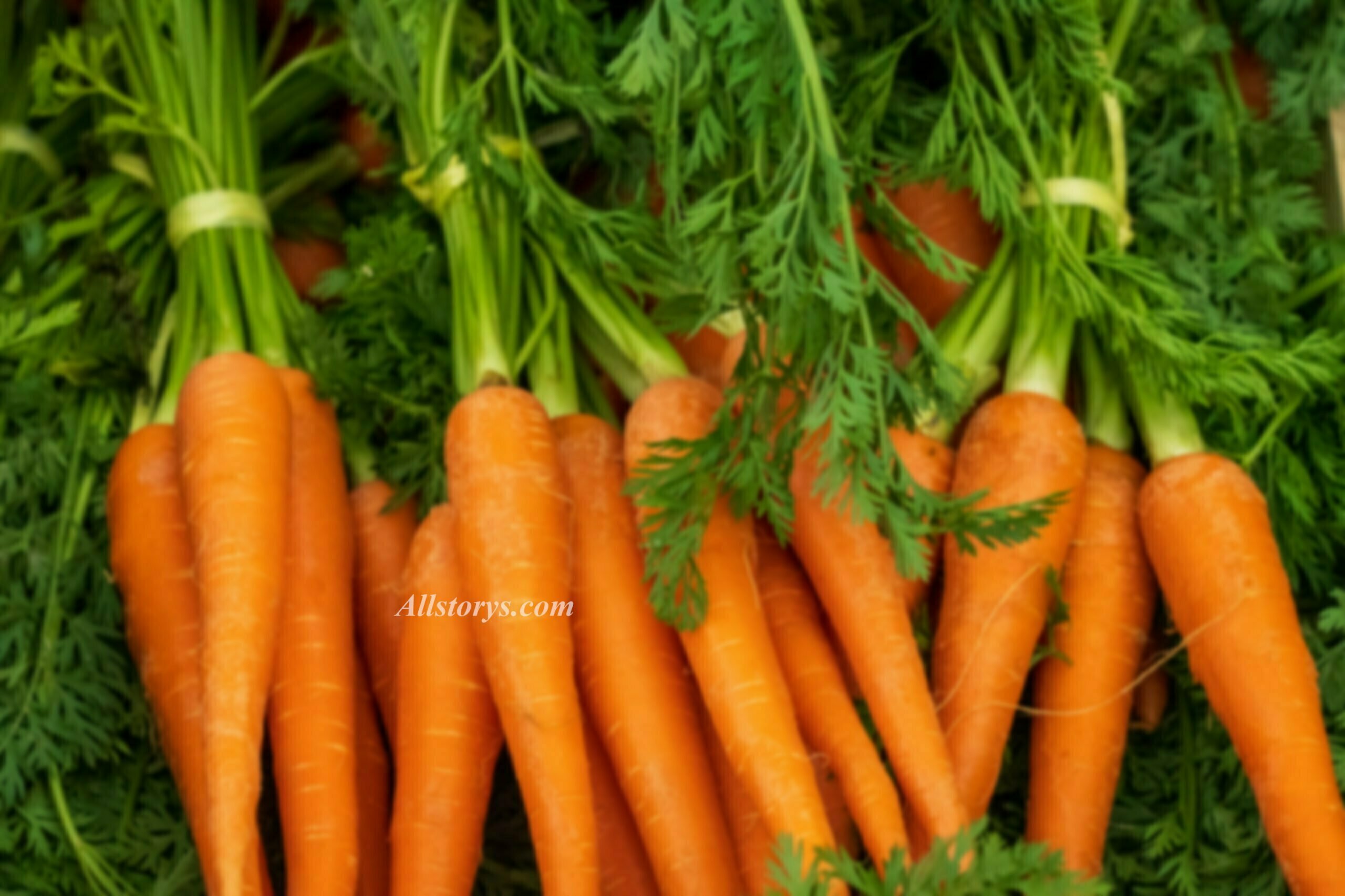 Health Bemfits Of Carrots