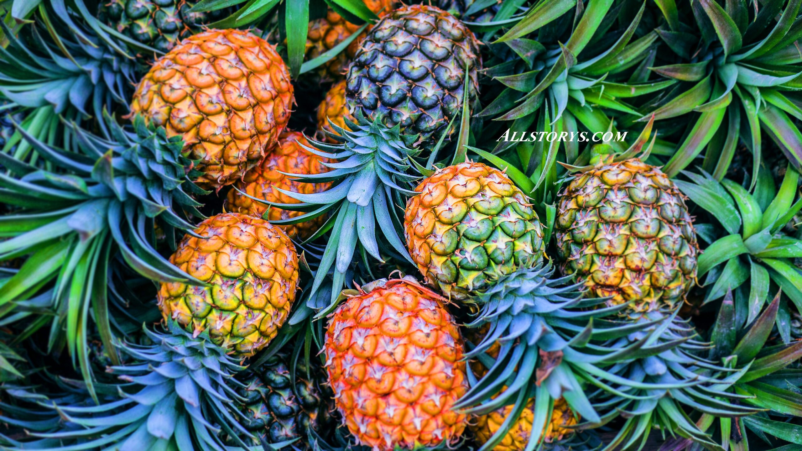 When is the right time to eat pineapples